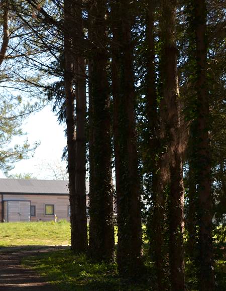 Domaine des Anges 6
