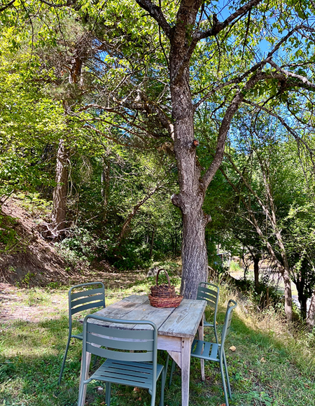 Jardin
