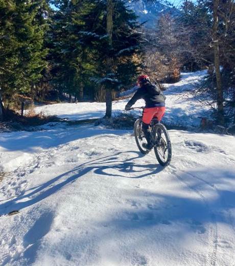 Descente dans la sapinière d'Aubas