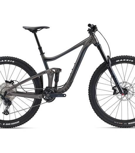 Giant Reign 29