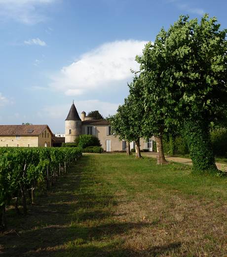 chai+chateau+vignes