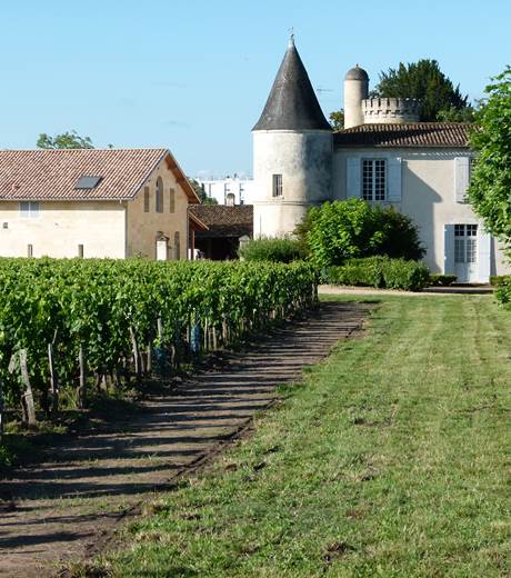 facade+vignes