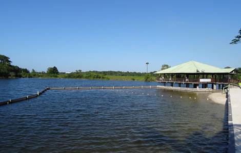La Mangrove