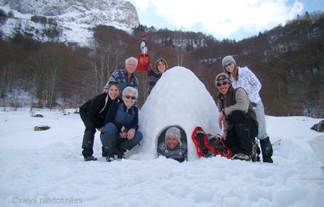 famille igloo