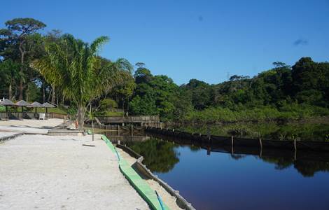 La Mangrove