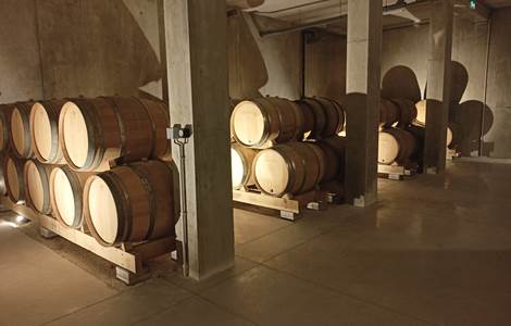 Nouvelles caves2