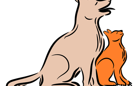 animaux_compagnie_hôtel_2_étoiles_hébergement_option