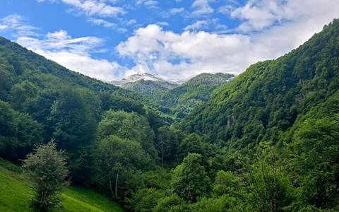 Magnifique vue sur les montagnes enneigées