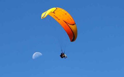 Pollen-parapente