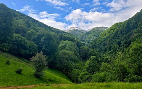 Vue du jardin sur la montagne