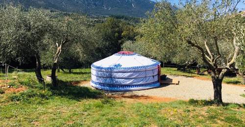Habitat nomade tout en rondeur