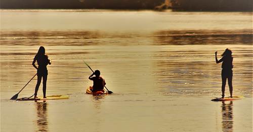paddle