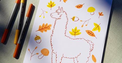 Mon alpaga d'automne
