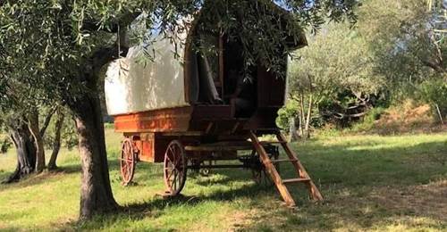 Authentique roulotte hongroise
