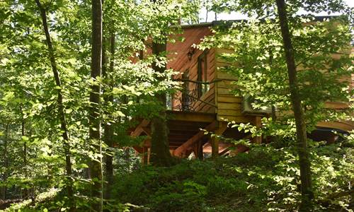 cabane.jpg