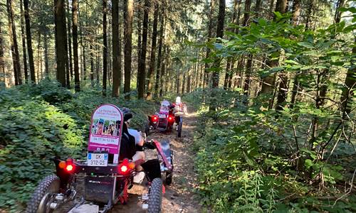 swincar en foret bis ferme des délices foréziens.jpg