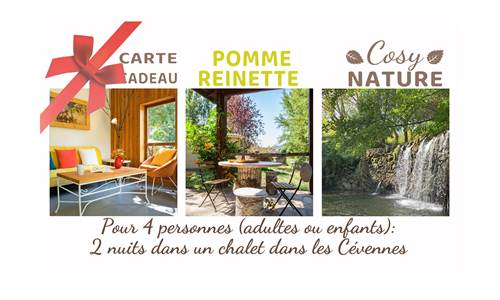 carte-cadeau-POMME-infos-2.jpg
