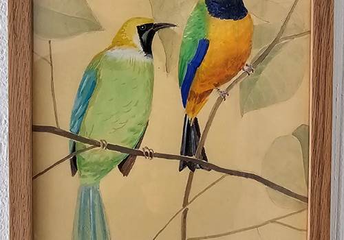 OISEAU5
