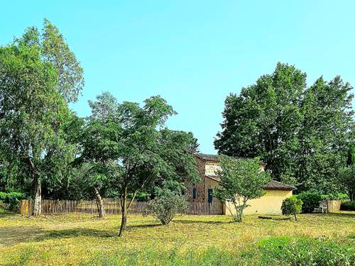 VIGNOBLE LE PLATANE
