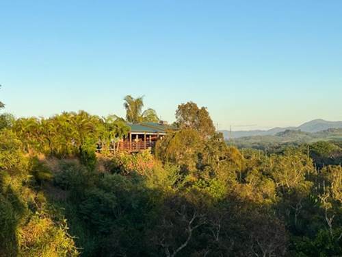 734ff971-1d5b-4714-b908-db4b404dd4a2 Medium