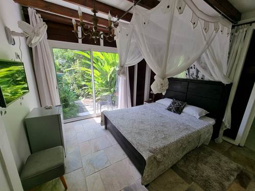 Chambre Libellule