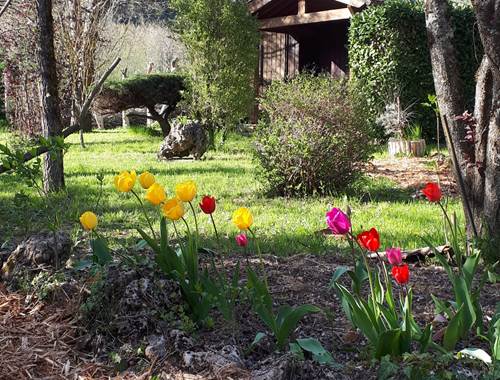 Jardin