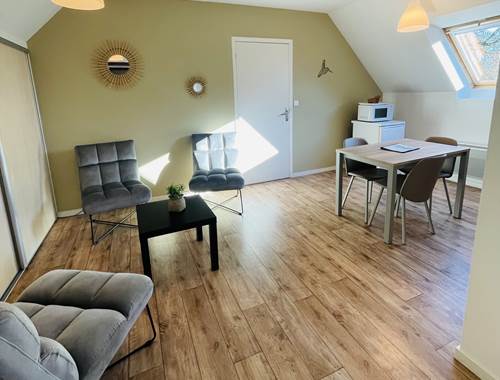 Appartement Orchidée - salon