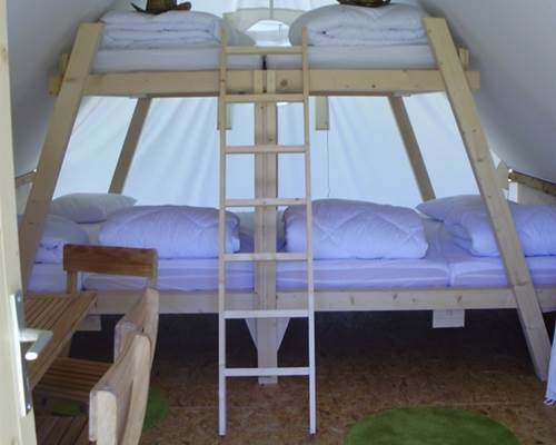 int tente lit