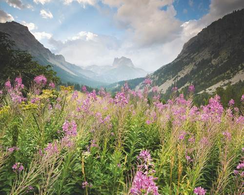 ouverture_alpes_ngt22
