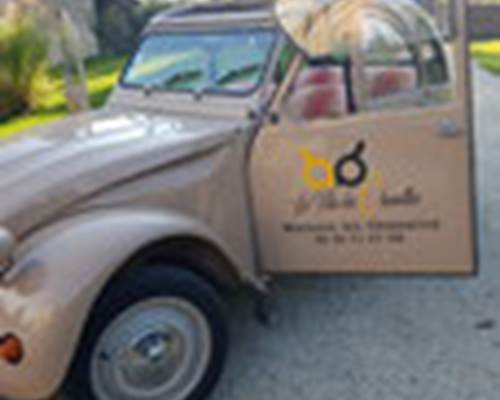 2cv