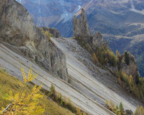 3653413_apidae-fiche-header-big