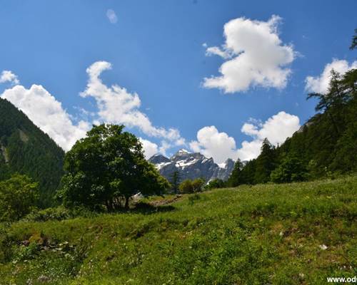 les grangettes