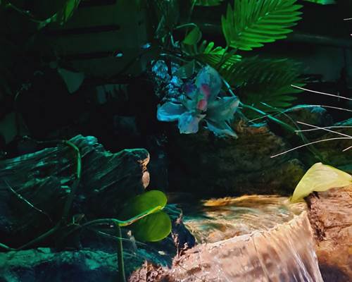 520948204_4354785938075874_7322175257014012644_n