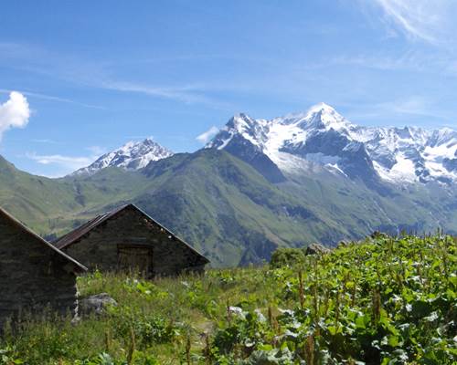 H0012907-P Chalets de l'Arc