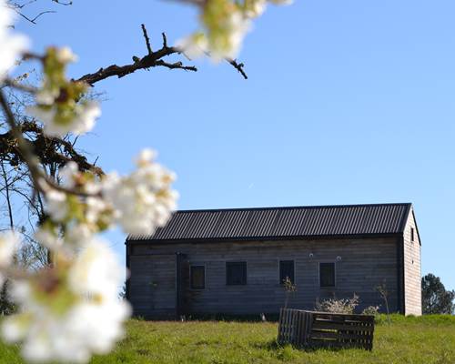 Cabane de l'Ecureuil, au printemps