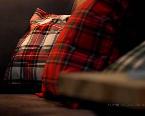®GitesLaFermeduParc_cosy_tinyhouse