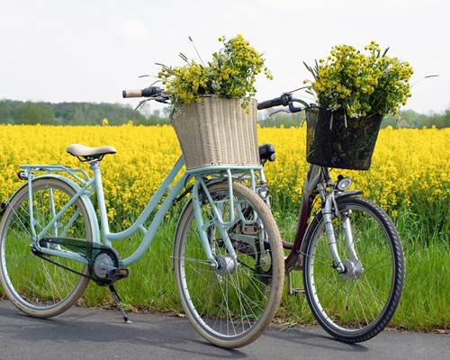 bicycles