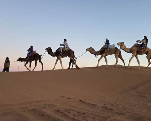 IMG-20250225-WA0039