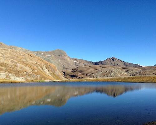 lac-cema