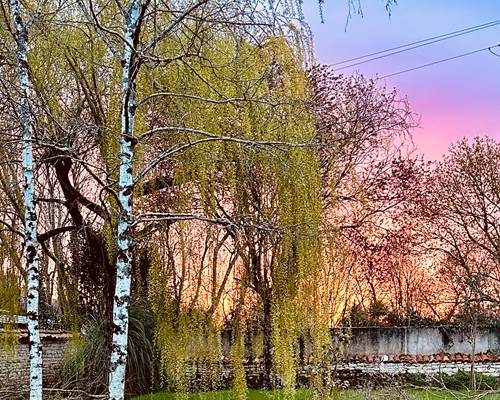 Jardin plein sud coucher de soleil_La Cavalerie