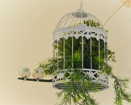 La Naturaleza 47-chambres-d-hotes-hotel-valencia-xativa-16-2