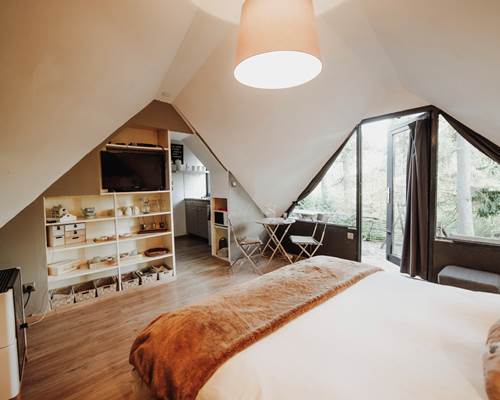 Vue générale de la chambre