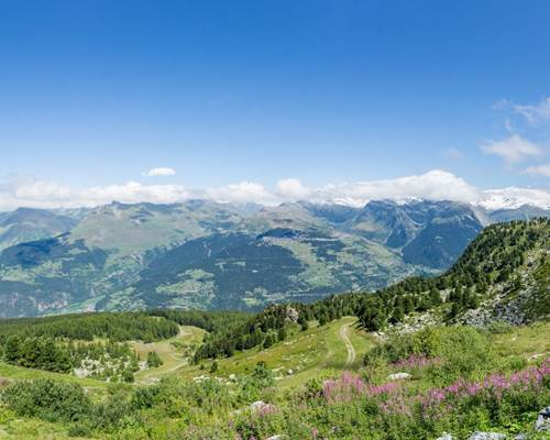 DSC02388-Panorama
