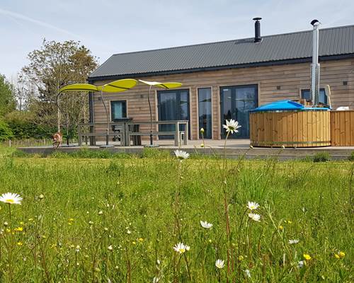 Cabane du Renard, vue du parc