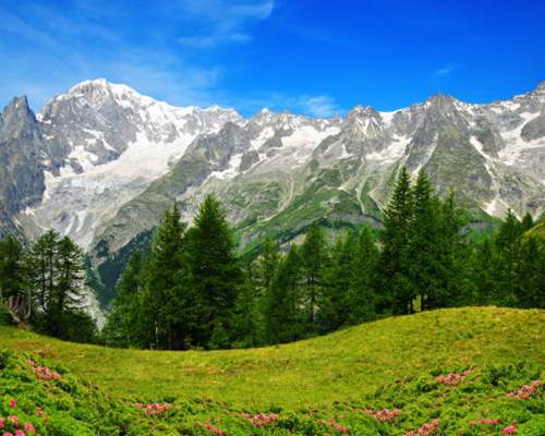 istockphoto-1351793160-612x612