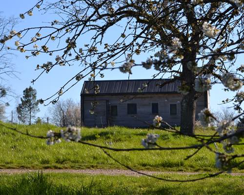 Cabane du Renard, vue du parc