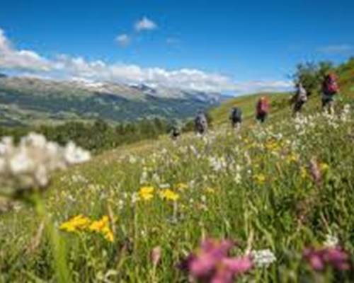 téléchargement (9)