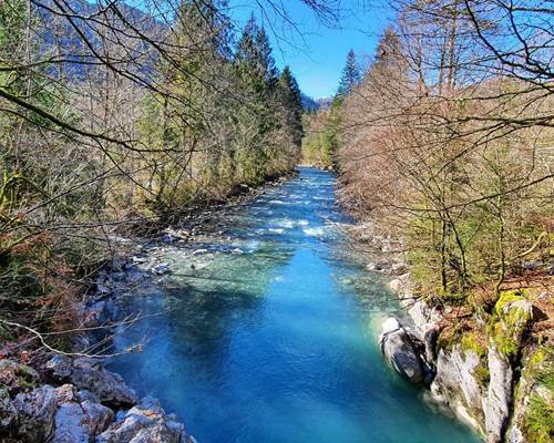 extra_large_a2331386e20bc7c2bc4f04d78acb1c30