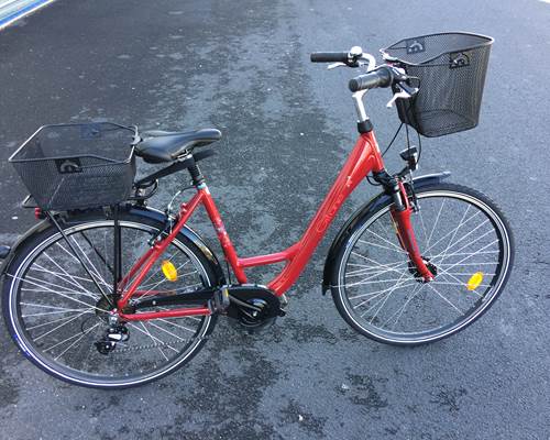 Giant Bikes