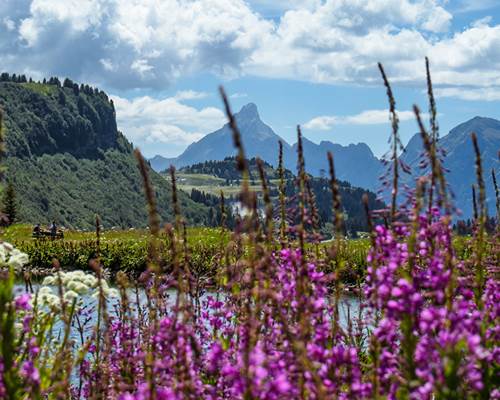 Lac Vernant 2